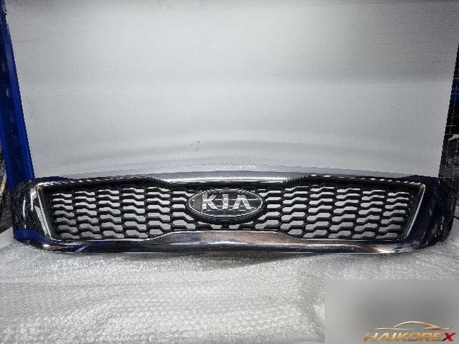 Kia Carnival 2010 — решётка радиатора 1