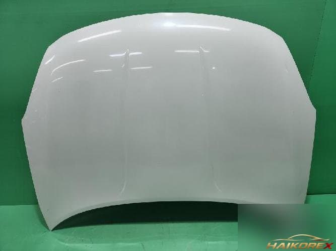 Nissan Rogue 2010 — капот