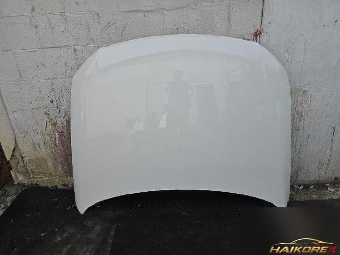 Volkswagen Passat 2009 — капот, белый