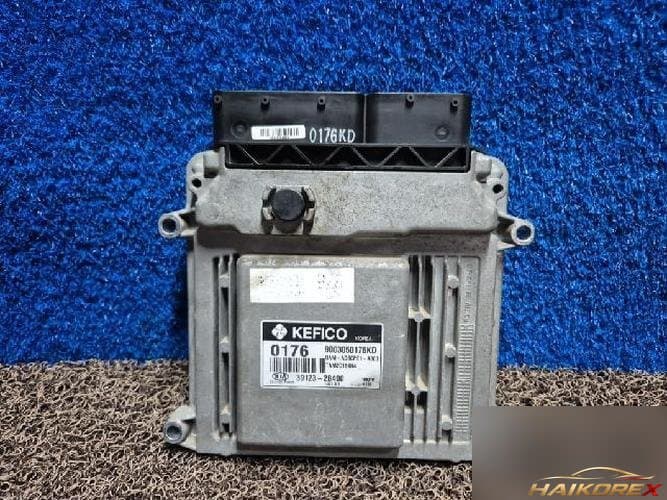 Kia Soul 2010 — блок управления двигателя ECU 391232B400