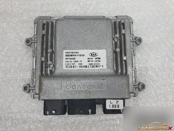 Kia Carens 2007 — блок управления двигателем ECU 39142-25750