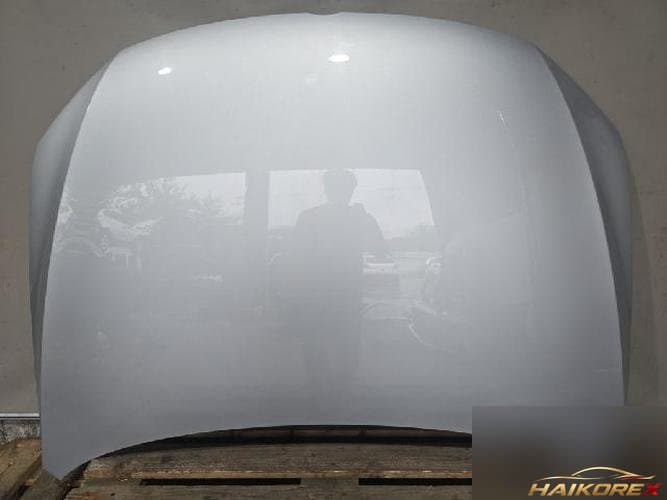 Volkswagen Jetta 2011 — капот