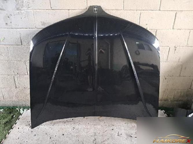 Ford MKS 2013 — капот