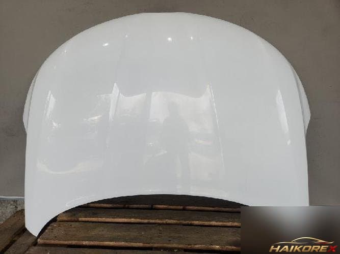 Renault SM6 2019 — капот