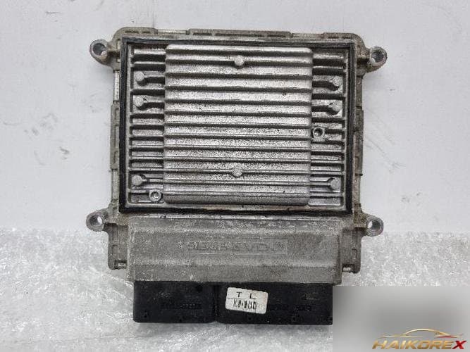 Kia Carens 2009 — ECU 39102-25712