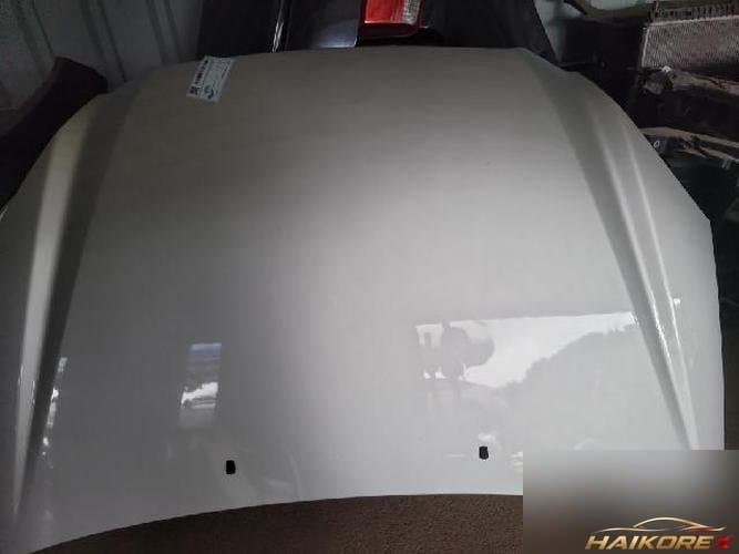Kia Carens 2007 — капот