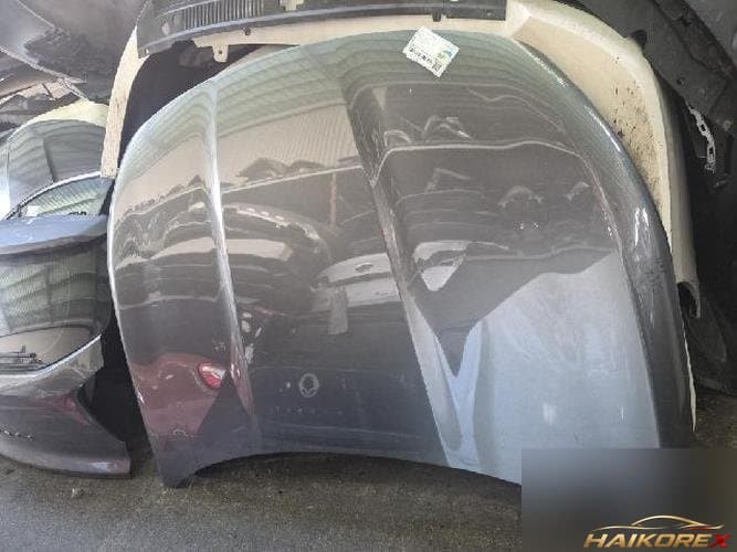 Renault SM7 2014 — капот (второй)