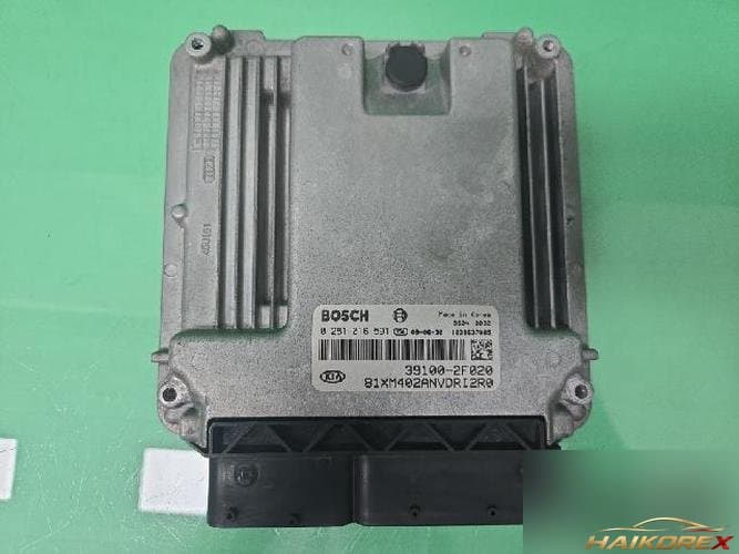 Kia Sorento 2010 — блок управления двигателем ECU 39100-2F020