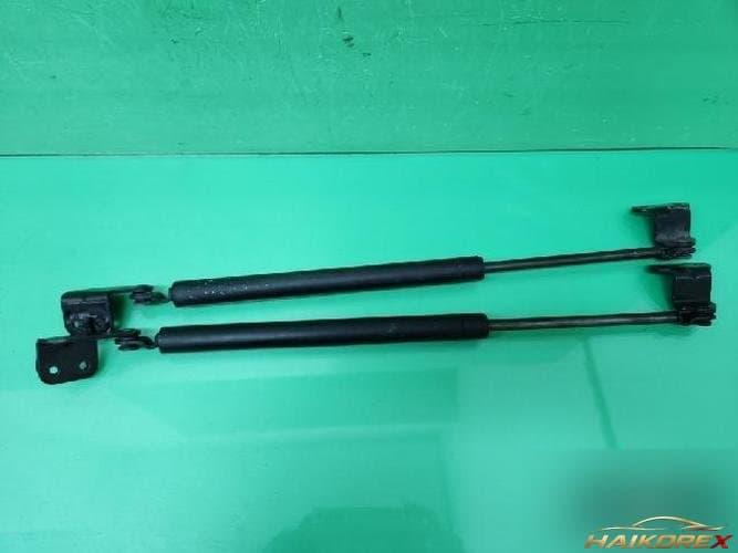 Hyundai Terracan 2004 — капот 81150-H1000