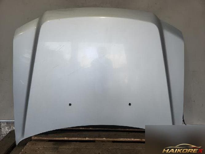 Ford Escape 2009 — капот