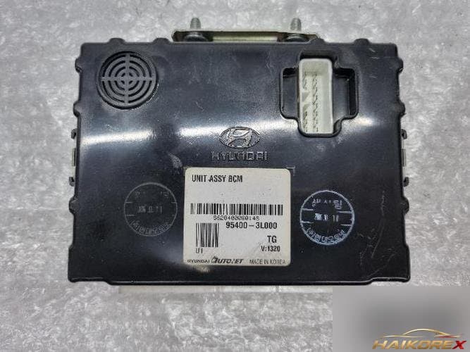 Hyundai Grandeur 2007 — модуль управления кузовом ETACS/BCM
