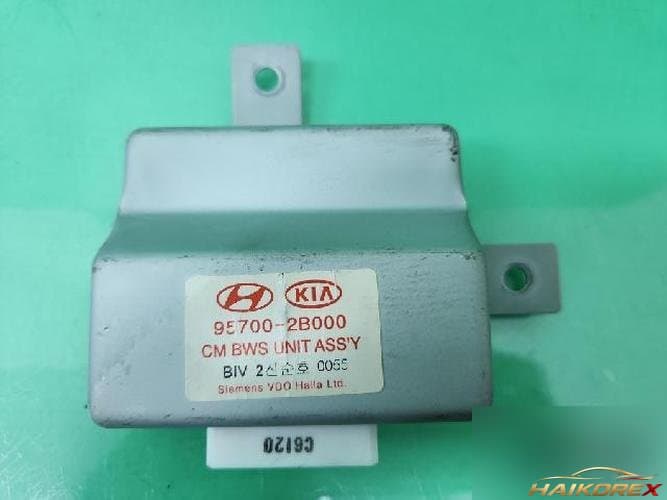 Модуль (блок) 95700-2B000