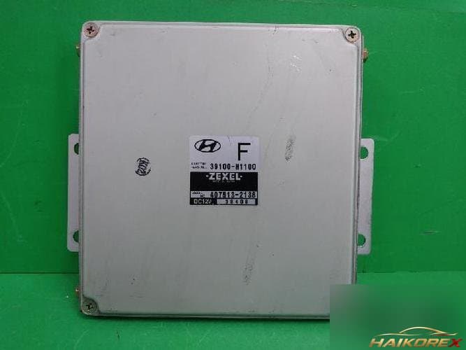 Hyundai Terracan 2003 — блок управления ECU 39100H1100