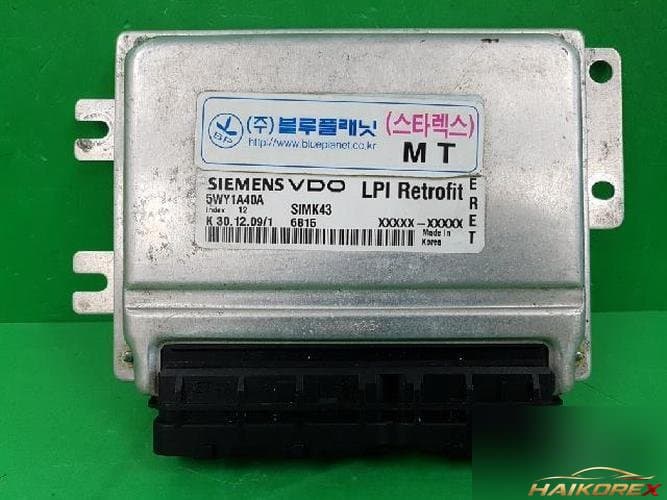 Hyundai Grand Starex 2001 — ЭБУ 5WY1A40A