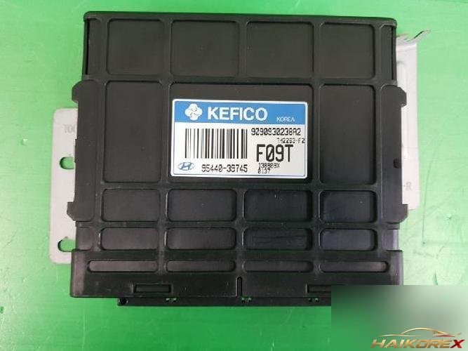 Hyundai Trajet 2004 — блок управления коробкой (TCU) 95440 39745 2