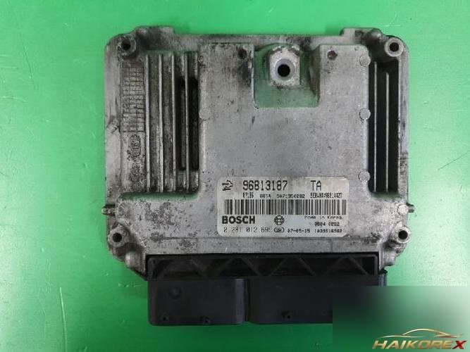 Daewoo Winstorm 2007 — ЭБУ 96813187 10