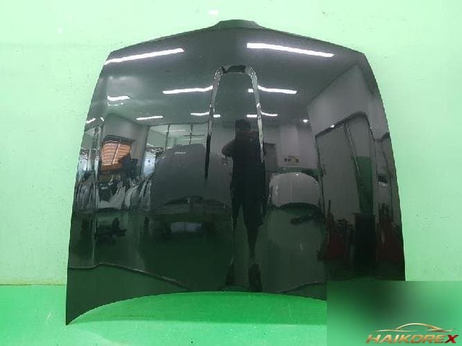 Ford MKS 2010 — капот